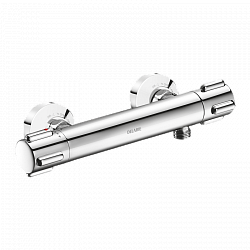 Delabie Термостатический смеситель для душа SECURITHERM (Арт H9739)