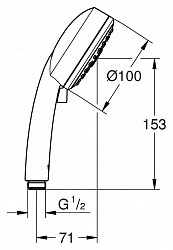 Душевая лейка Grohe Tempesta New Cosmopolitan 100 27574001