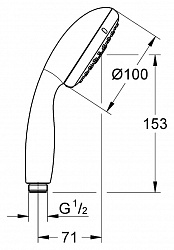 Душевая лейка Grohe Tempesta New 100 28261001