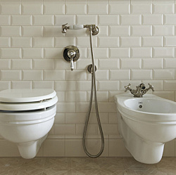 Devon Гигиенический душ с держателем, шлангом и выпуском из стены, с ручкой белой, цвет: бронза2084
