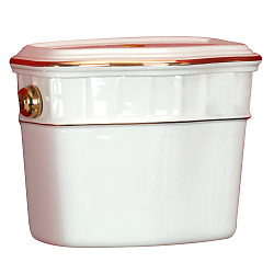 GIANETA Бачок подвесной низкий, д/напольного WC, с отв.д/кнопки слива, декор: D1 золото/белая керам