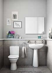 Раковина с пьедесталом VitrA Normus