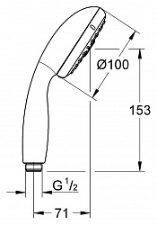 Душевая лейка Grohe Tempesta New 100 28578001