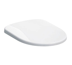 Selnova Сиденье с крышкой для унитаза, верхнее крепление, нержавеющая сталь 500.337.01.1