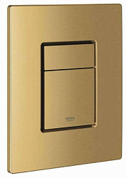 Skate Cosmopolitan Панель смыва для унитаза, холодный рассвет матовый 38732GN0