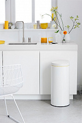 Мусорное ведро Brabantia 106866