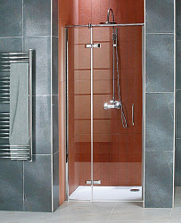 Душевая дверь в нишу SanSwiss Pur Light PLPG12005007