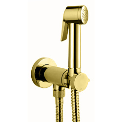BOSSINI PALOMA FLAT Гигиенический душ с прогрессивным смесителем, лейка пластиковая, шланг 1250 мм. металлический, цвет сатинированное золото2245