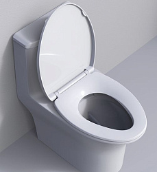 Крышка-сиденье ARROW PG006-ZPA,PP, микролифт, белый