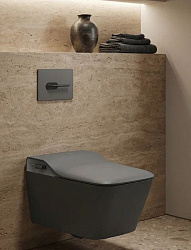 Унитаз унитаз подвесной с биде ARROW  AKB2130AG-2H, тёмно-серый