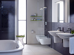 Чаша для унитаза подвесного Duravit Darling New 2545090000