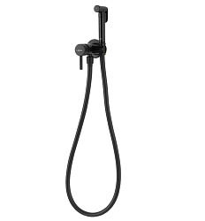 Гигиенический душ Arrow встраиваемый,черный, на 1 отверстие, латунь. Шланг 150 см нержавеющая сталь. 