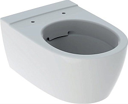 iCon Унитаз подвесной без ободка, Rimfree, 6л, 530 мм 204060000